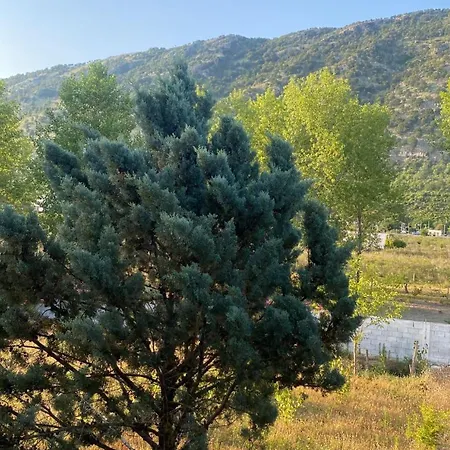 Marino * Baks-Rrjoll